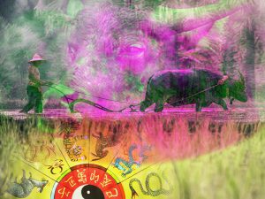 2021: año del búfalo de metal