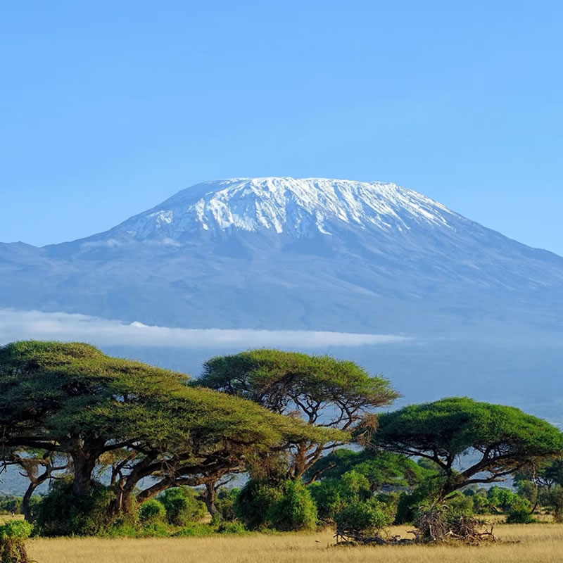 Kilimanjaro (Tanzania)