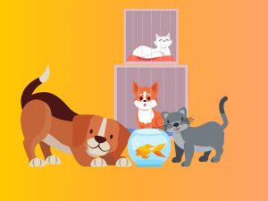 Adoptelitismo: adopción de mascotas y discriminación