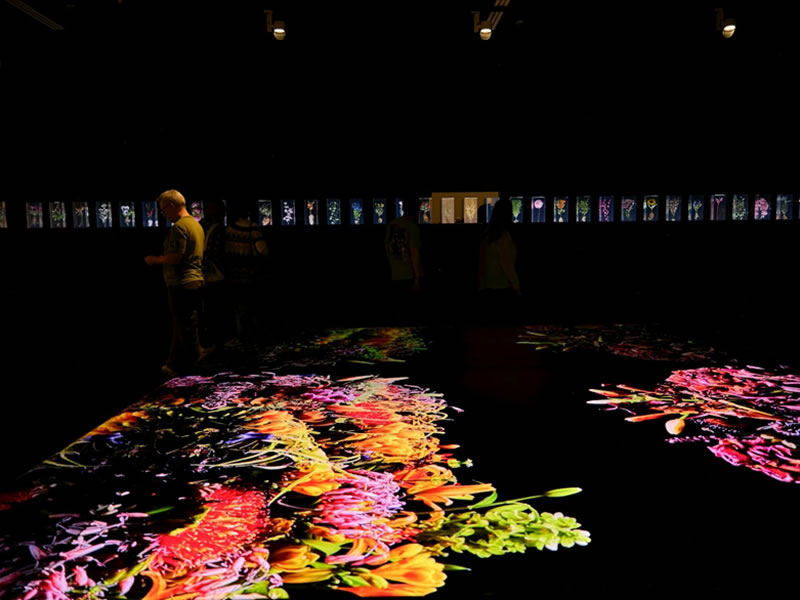 Exposición en galería nómada