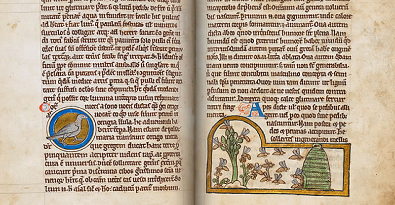 "Royal 12 C, The quail and the bee, Folios 44v-45"