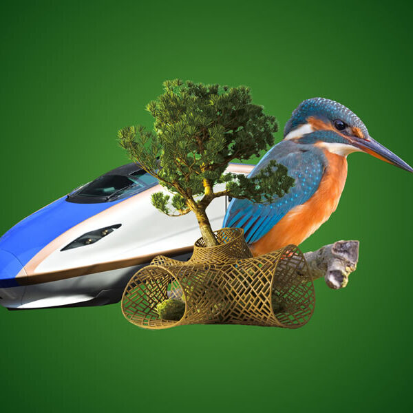 Biomímesis: tecnología de punta inspirada en la naturaleza