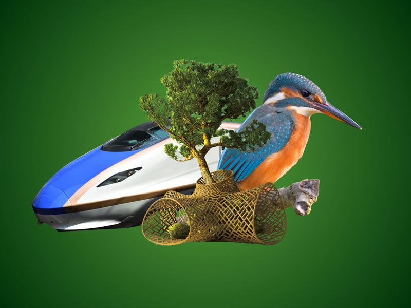 Biomímesis: tecnología de punta inspirada en la naturaleza