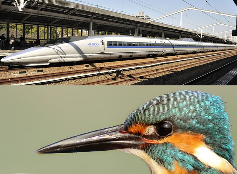 Tren bala Shinkansen y martín pescador