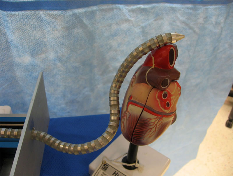 Robots quirúrgicos inspirados en serpientes