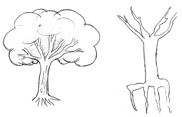 Dibujos en b/n de un árbol