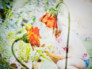 ¿De verdad sirve de algo hablarles a las plantas?