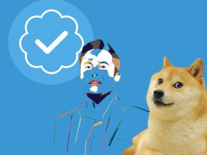 ¿Es momento de dejar el Twitter de Elon Musk?