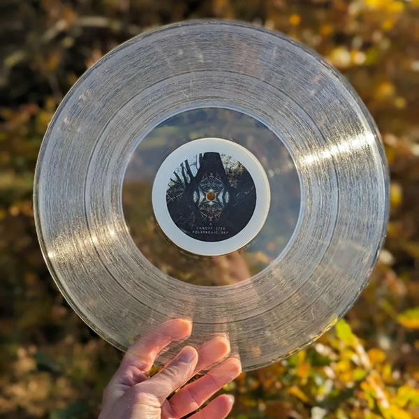 Vinilo transparente