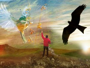 Kuş Dili: El lenguaje de las aves