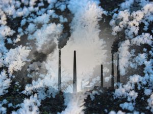 El permafrost y el despertar de las bacterias dormidas
