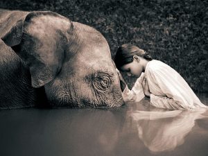 El poder de la compasión