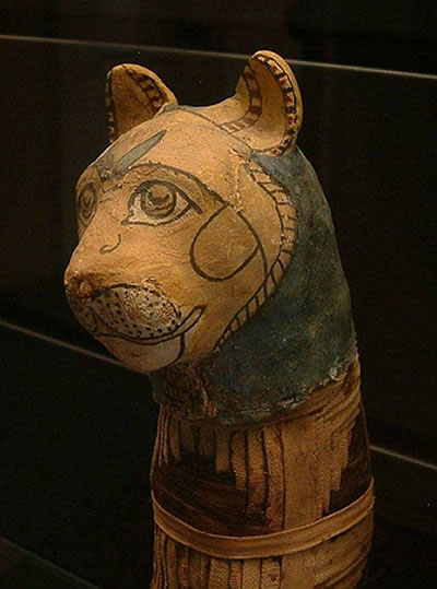 Momia egipcia de gato