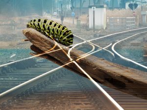 Ante la nueva realidad, ¿estás listo para aceptar el cambio?