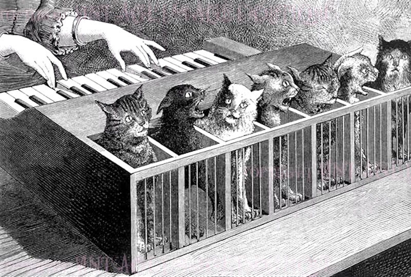 Katzenklavier o teclado de gatos