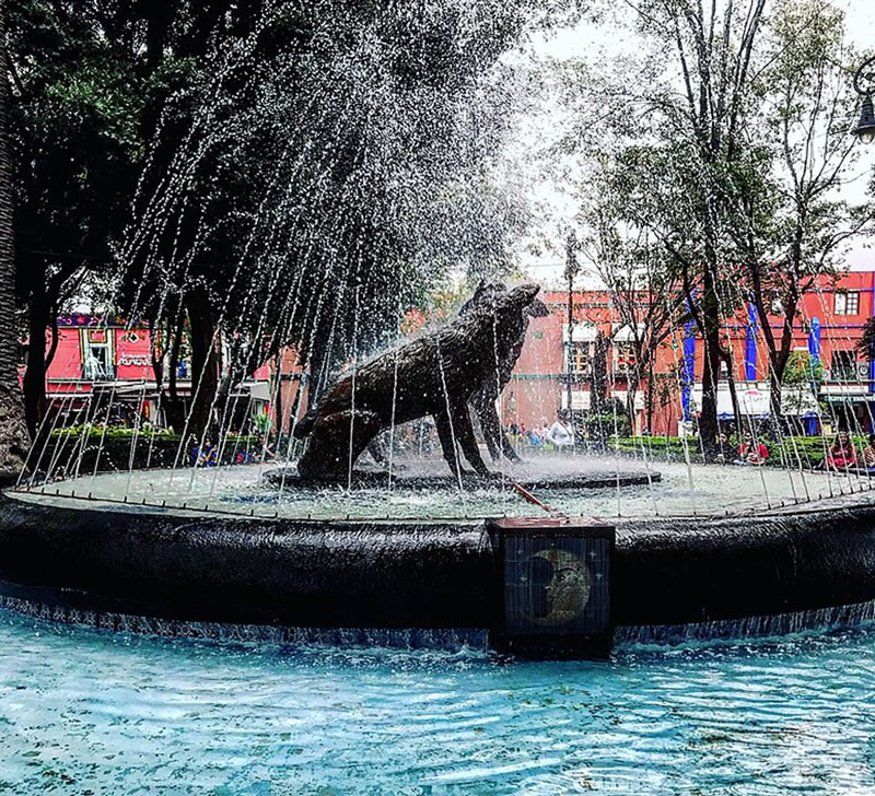 "Sabía que era necesario que me alistara y que fuera a Coyoacán..."