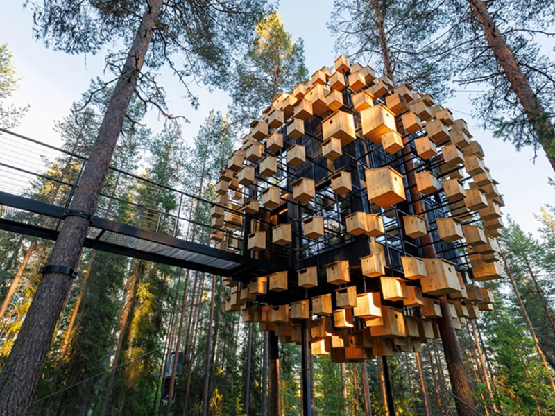 Treehotel, Suecia