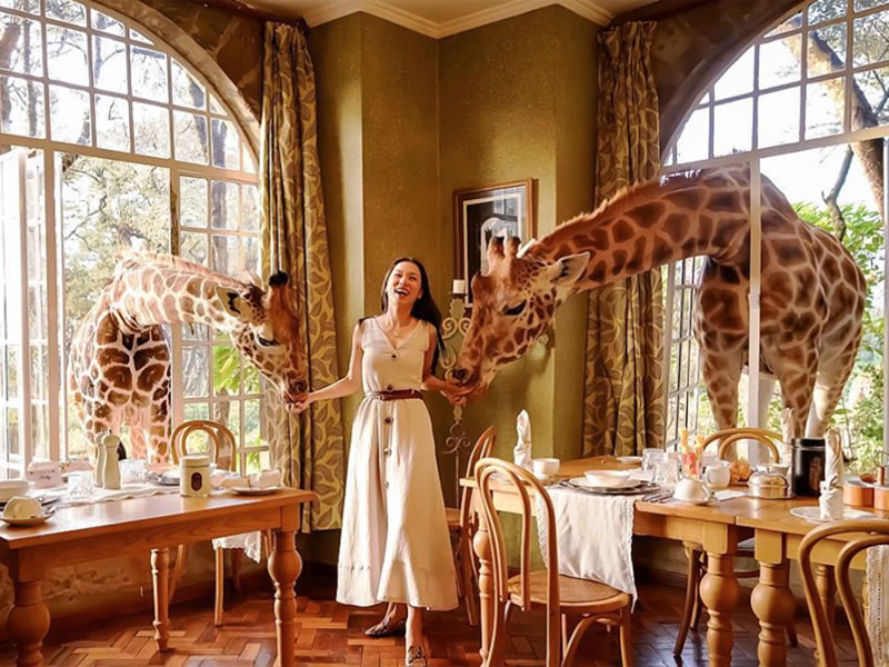 Giraffe Manor, Nairobi