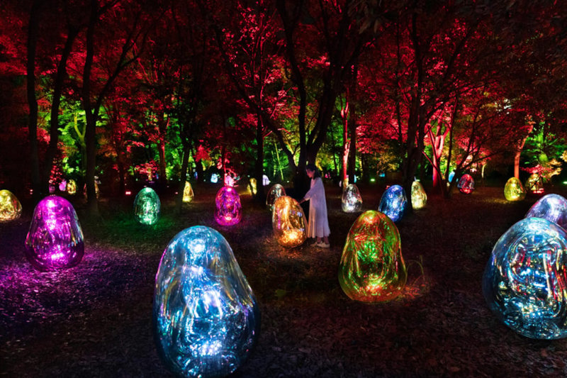 Instalación inmersiva de teamLab