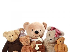 La historia secreta de los osos