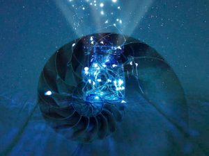 La 'zona de confort' creativa —y cómo salir de ella—