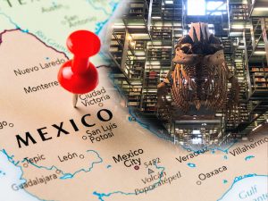 Las bibliotecas más hermosas de México