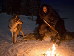 ¿Es el lobo el verdadero mejor amigo del hombre?