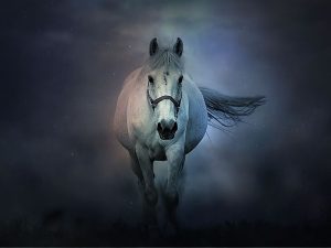 Magia blanca y magia negra, ¿son como las pintan?