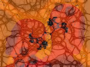 Neurociencia creativa: la sinapsis del intelecto