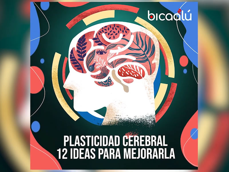 Plasticidad cerebral: 12 ideas para mejorarla