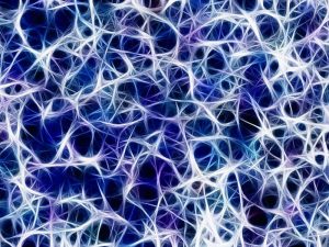 Reconecta tu mente: doce ideas para mejorar la plasticidad cerebral.