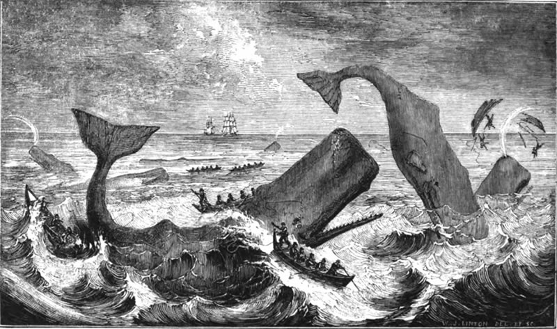 "Lámina de pesca de ballena" (1830), del artista Louis-Philippe-Alphonse Bichebois