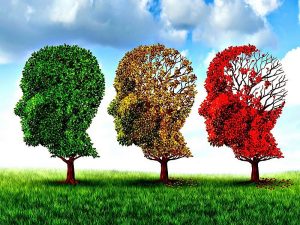 Traiciones de la memoria