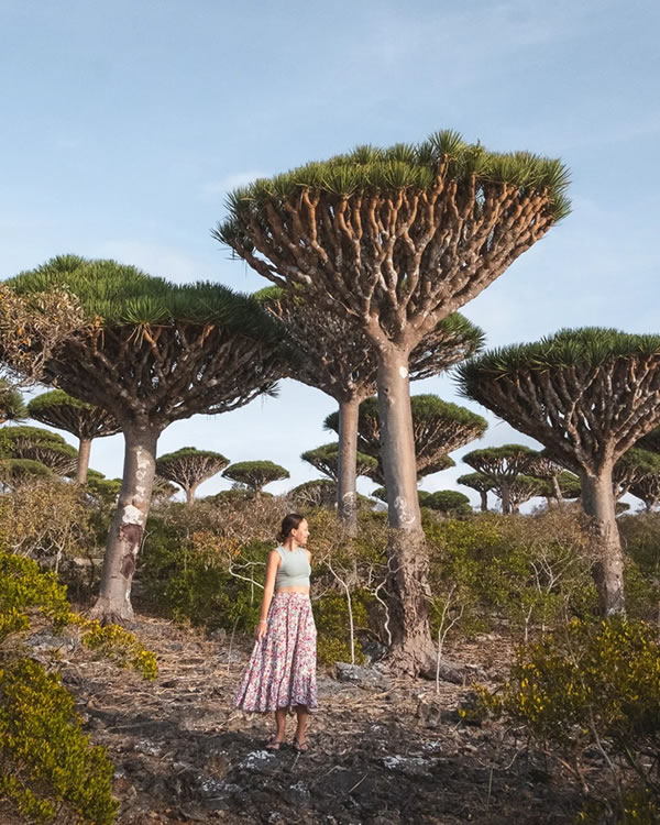 Isla Socotra, Yemen